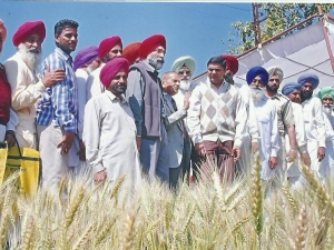 Sh. Tejveer Singh Principal Secretary to the Chief Minister Punjab seen the demonstration plots of wheat at association’s Rakhra farm along with farmers.