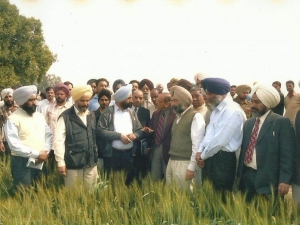 Secretary-General Bhagwan Dass explains the characteristics of a Wheat variety to Sh. Sukhjinder Singh Randhawa Cabinet Minister Punjab and farmers at a demonstration plot laid out at association’s farm.